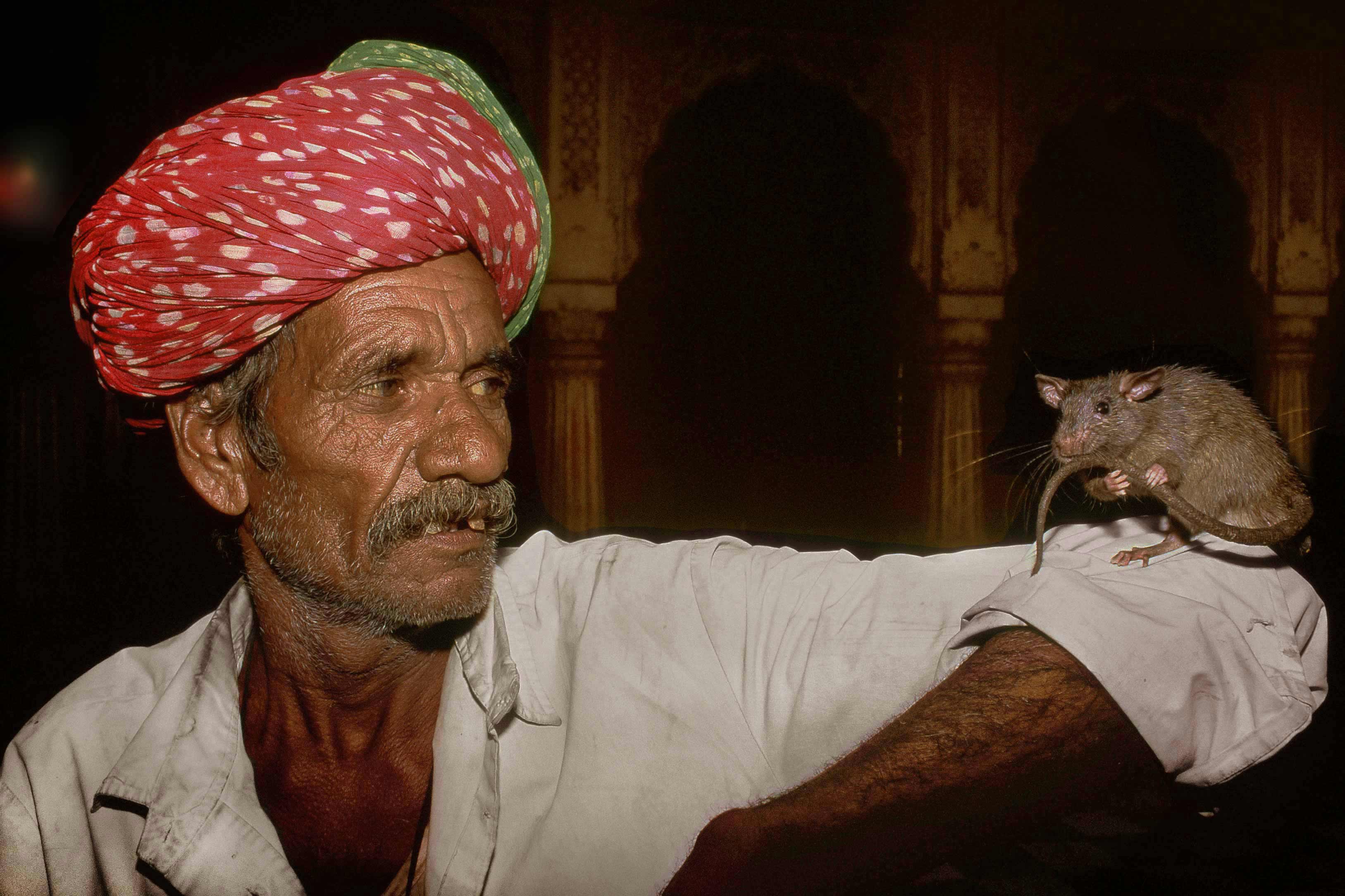 bikaner-rajasthan--