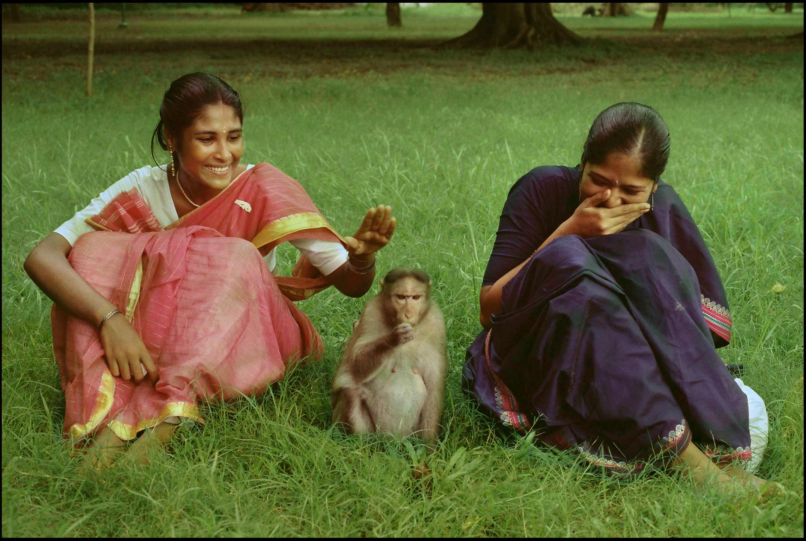 calcutta-parco-maidan