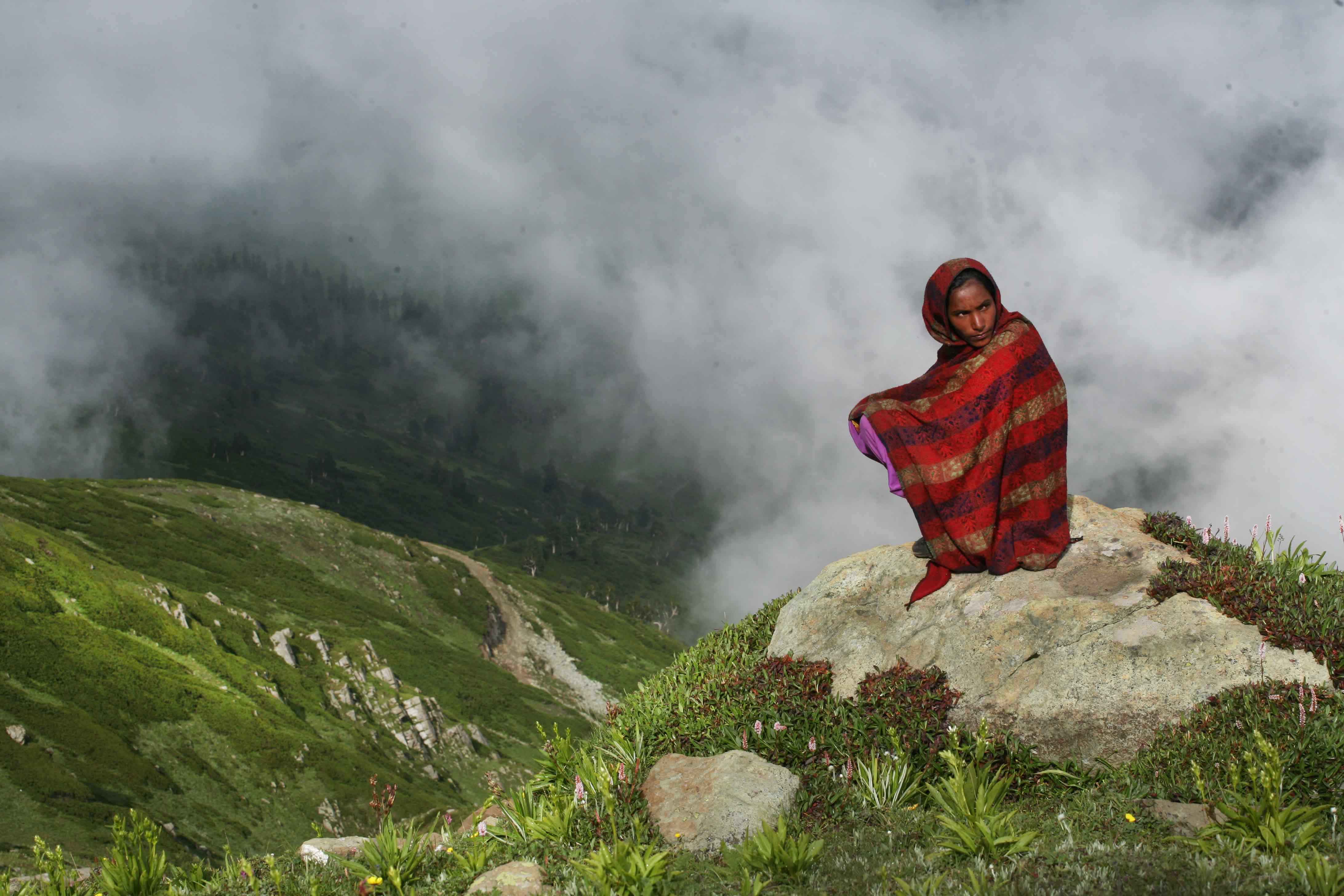 kashmir--india
